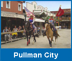 Pullman City