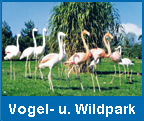 Vogel und Wildpark