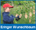Wunschbaum
