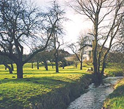 ansicht gross